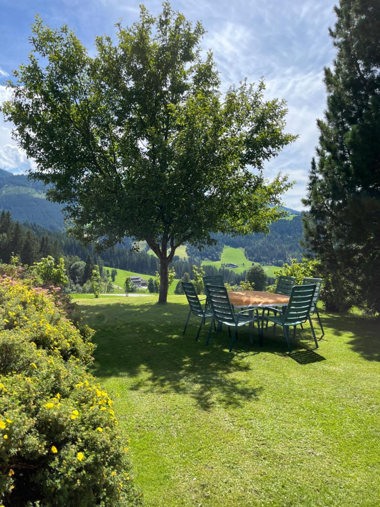 Hornergut Lejlighed Altenmarkt im Pongau Eksteriør billede
