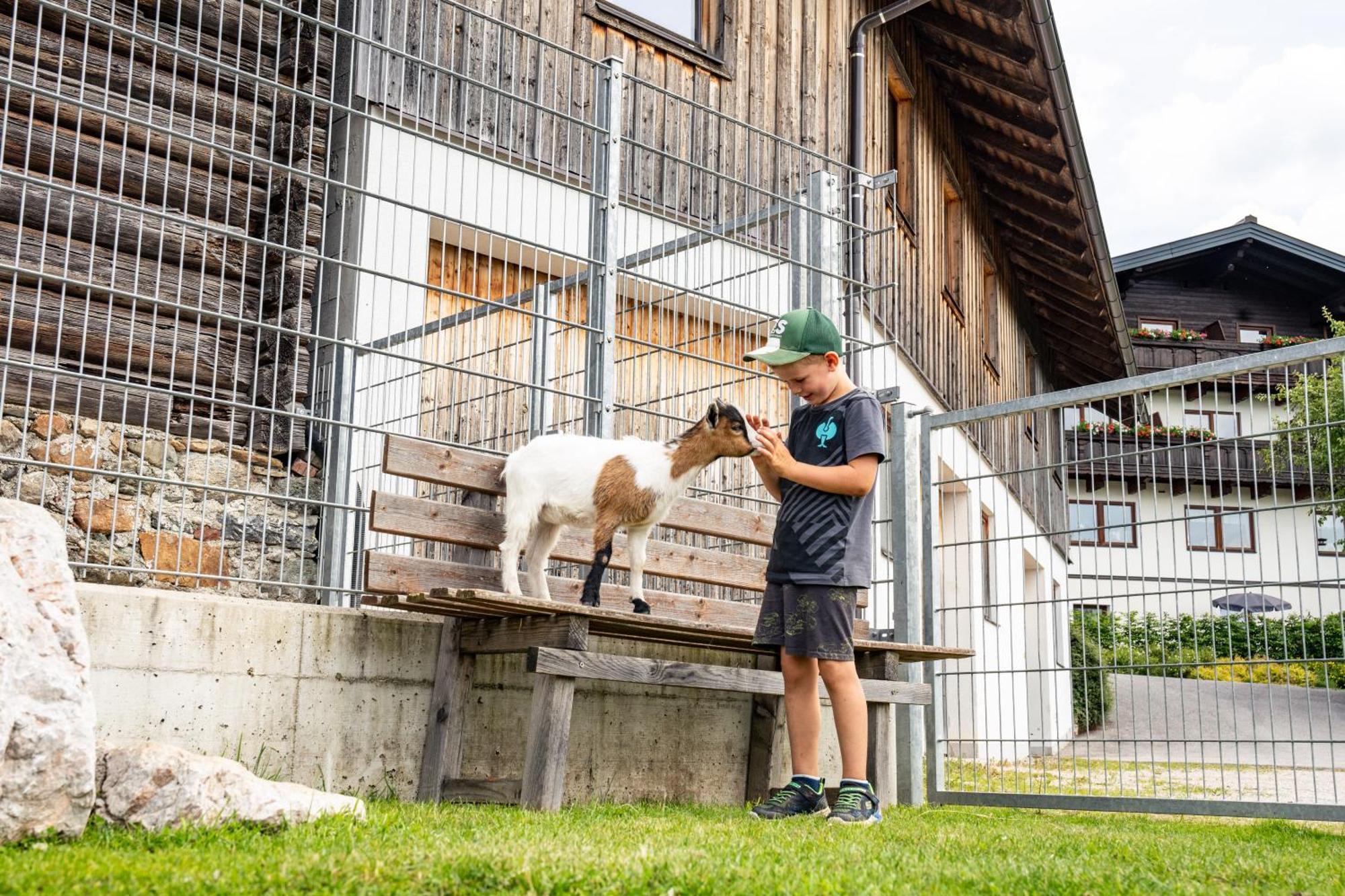 Hornergut Lejlighed Altenmarkt im Pongau Eksteriør billede