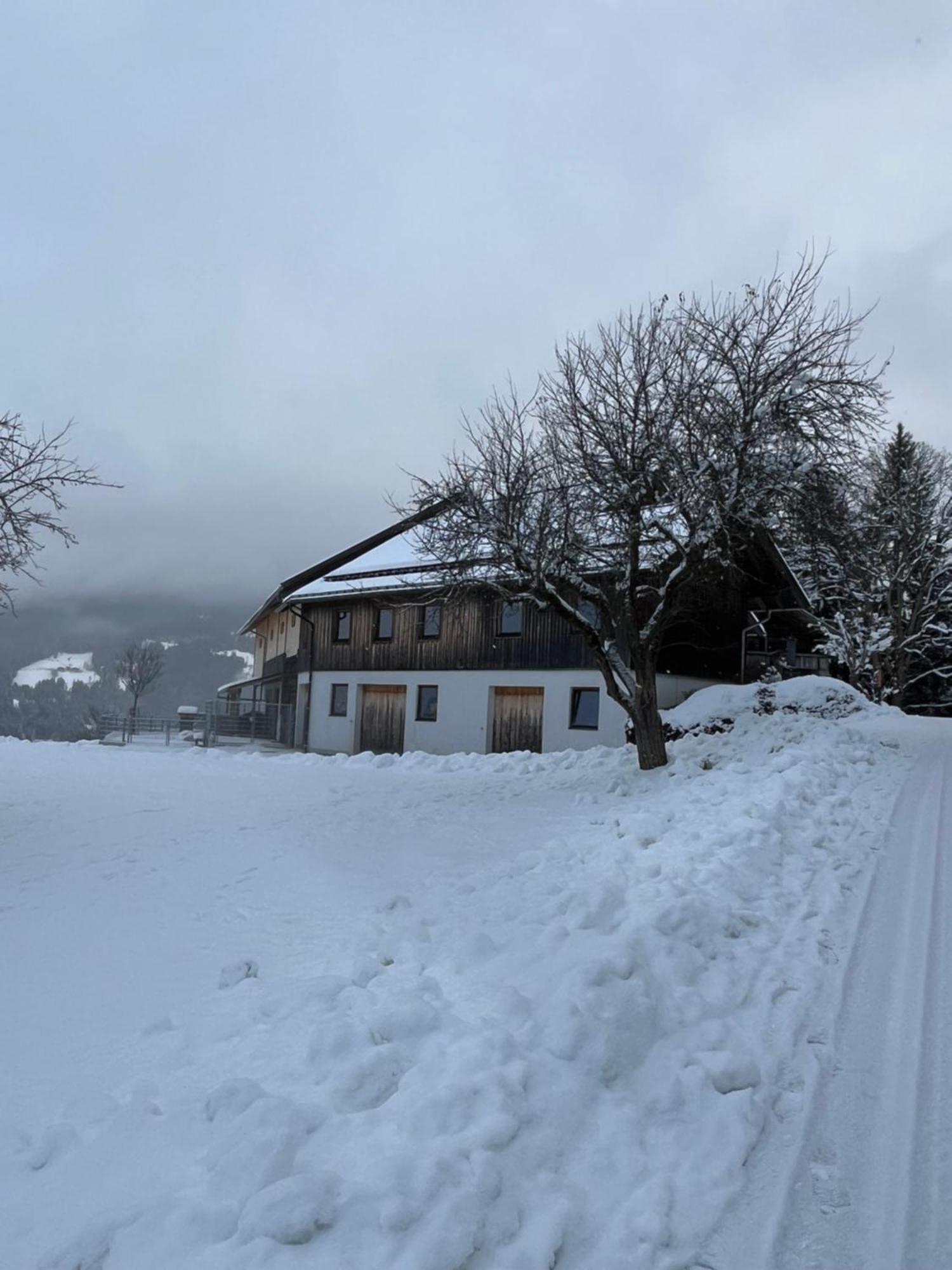 Hornergut Lejlighed Altenmarkt im Pongau Eksteriør billede
