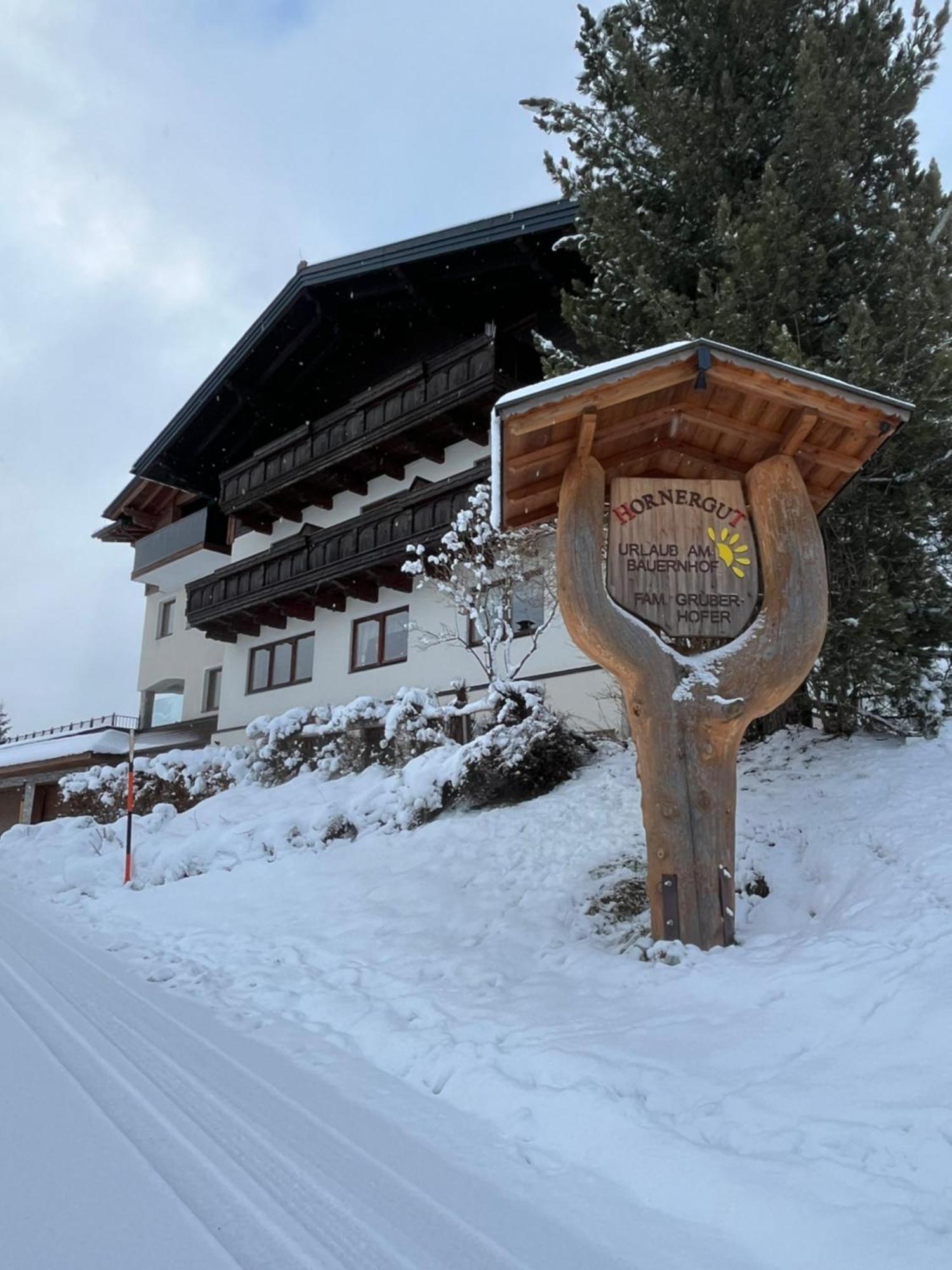 Hornergut Lejlighed Altenmarkt im Pongau Eksteriør billede